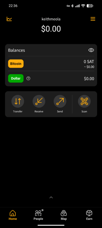 Blink wallet home screen