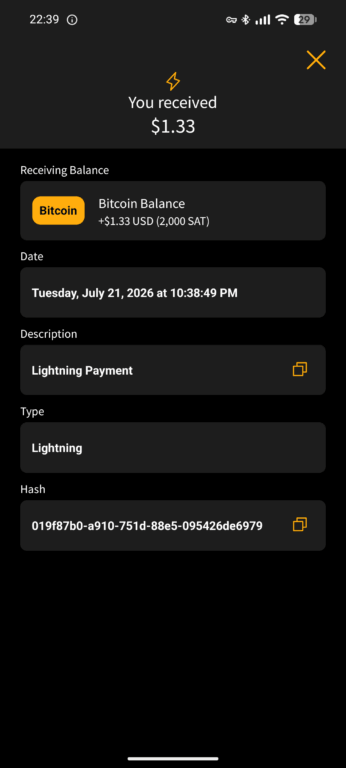 Blink wallet transaction details