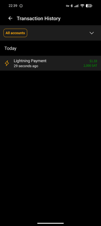 Blink wallet transaction history screen