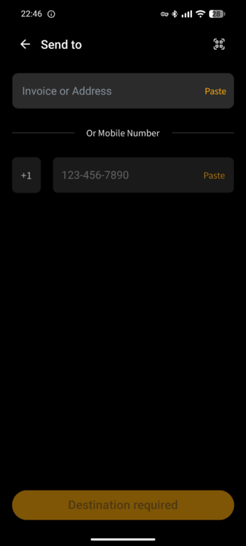 Blink wallet showing blank Send To screen for sending bitcoin