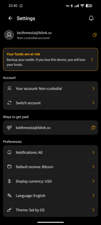 Blink wallet showing the settings sidebar